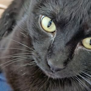 Meet your Posher, Cathy